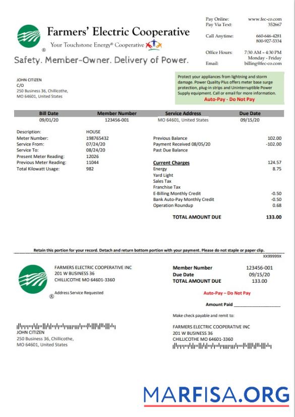 Blank USA Ohio Farmer’s Electric Cooperative utility bill template in Word an PDF format